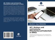 Capa do livro de IKT, Risiken und extrinsische Mitarbeiterzufriedenheit in KMUs 