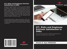 ICT, Risks and Employee Extrinsic Satisfaction in SMEs的封面