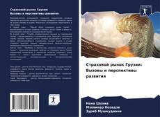 Buchcover von Страховой рынок Грузии: Вызовы и перспективы развития