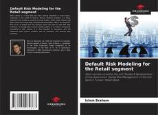 Buchcover von Default Risk Modeling for the Retail segment