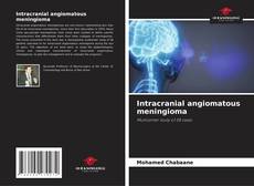 Buchcover von Intracranial angiomatous meningioma