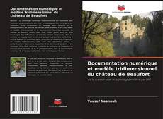 Buchcover von Documentation numérique et modèle tridimensionnel du château de Beaufort
