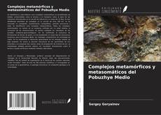 Buchcover von Complejos metamórficos y metasomáticos del Pobuzhye Medio
