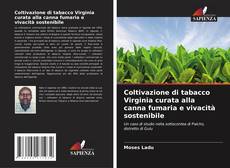 Couverture de Coltivazione di tabacco Virginia curata alla canna fumaria e vivacità sostenibile