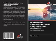 Portada del libro de Vulnerabilità e contributo della pesca come strategia di sussistenza