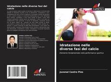 Idratazione nelle diverse fasi del calcio的封面