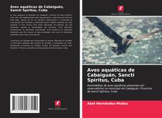 Aves aquáticas de Cabaiguán, Sancti Spíritus, Cuba kitap kapağı