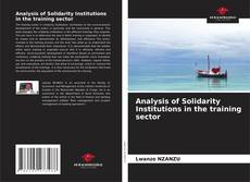 Buchcover von Analysis of Solidarity Institutions in the training sector