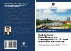 Buchcover von Hydraulische Modellierung von Einzugsgebietsstrukturen in mobilen Flussbetten