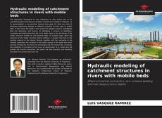 Buchcover von Hydraulic modeling of catchment structures in rivers with mobile beds