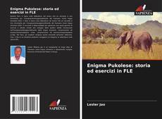 Capa do livro de Enigma Pukolese: storia ed esercizi in FLE 