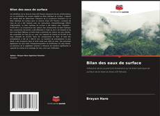 Bookcover of Bilan des eaux de surface