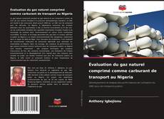 Copertina di Évaluation du gaz naturel comprimé comme carburant de transport au Nigeria