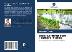 Buchcover von Energieverbrauch beim Reisanbau in Indien