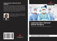 Laparoscopic Adrenal Gland Surgery的封面