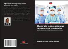 Borítókép a  Chirurgie laparoscopique des glandes surrénales - hoz