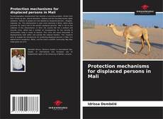 Protection mechanisms for displaced persons in Mali的封面