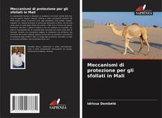 Обложка Meccanismi di protezione per gli sfollati in Mali