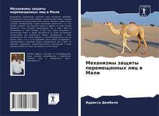 Buchcover von Механизмы защиты перемещенных лиц в Мали
