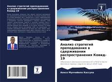 Bookcover of Анализ стратегий преподавания в сдерживании распространения Ковид-19
