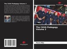 Bookcover of The CAVA Pedagogy Volume 3