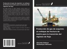 Capa do livro de Producción de gas de esquisto: un enfoque de fractura de matriz para la transición del régimen de flujo 
