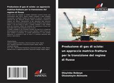 Обложка Produzione di gas di scisto: un approccio matrice-frattura per la transizione del regime di flusso