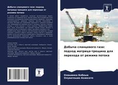 Capa do livro de Добыча сланцевого газа: подход матрица-трещина для перехода от режима потока 