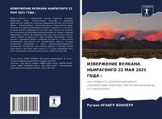 Portada del libro de ИЗВЕРЖЕНИЕ ВУЛКАНА НЬИРАГОНГО 22 МАЯ 2021 ГОДА :