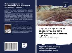 Portada del libro de Овражная эрозия и ее воздействие в пяти выбранных поселковых городах