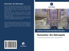Portada del libro de Numantia: die Nekropole