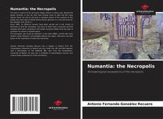 Numantia: the Necropolis的封面