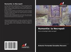 Обложка Numantia: la Necropoli