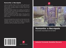 Capa do livro de Numantia: a Necrópole 