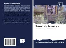 Portada del libro de Нумантия: Некрополь