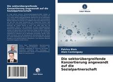 Portada del libro de Die sektorübergreifende Konzertierung angewandt auf die Sozialpartnerschaft