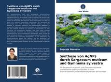 Buchcover von Synthese von AgNPs durch Sargassum muticum und Gymnema sylvestre