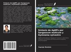 Bookcover of Síntesis de AgNPs por Sargassum muticum y Gymnema sylvestre