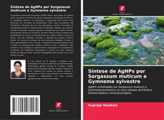 Capa do livro de Síntese de AgNPs por Sargassum muticum e Gymnema sylvestre 