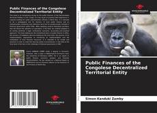 Обложка Public Finances of the Congolese Decentralized Territorial Entity