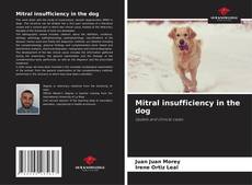 Buchcover von Mitral insufficiency in the dog