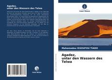 Portada del libro de Agadez, unter den Wassern des Telwa