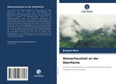 Capa do livro de Wasserhaushalt an der Oberfläche 