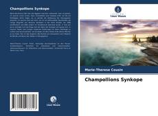 Portada del libro de Champollions Synkope