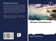 Capa do livro de Обморок Шампольона 