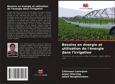 Copertina di Besoins en énergie et utilisation de l'énergie dans l'irrigation