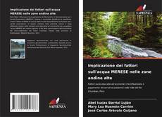 Bookcover of Implicazione dei fattori sull'acqua MERESE nelle zone andine alte