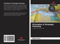Обложка Principles of Strategic Planning