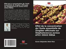 Copertina di Effet de la concentration de l'huile essentielle de Zingiber officinale sur Staphylococcus aureus ATCC 25923 MRSA
