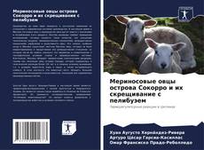 Bookcover of Мериносовые овцы острова Сокорро и их скрещивание с пелибуэем